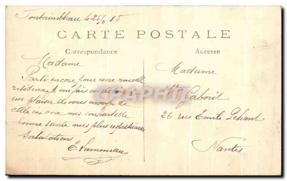 Palais de Fontainebleau — Jardin Anglais, allée de Sully — n°14 — Verso