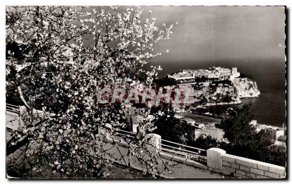 CPA Monaco est tout en fleurs ses parfums grisent nos coeurs