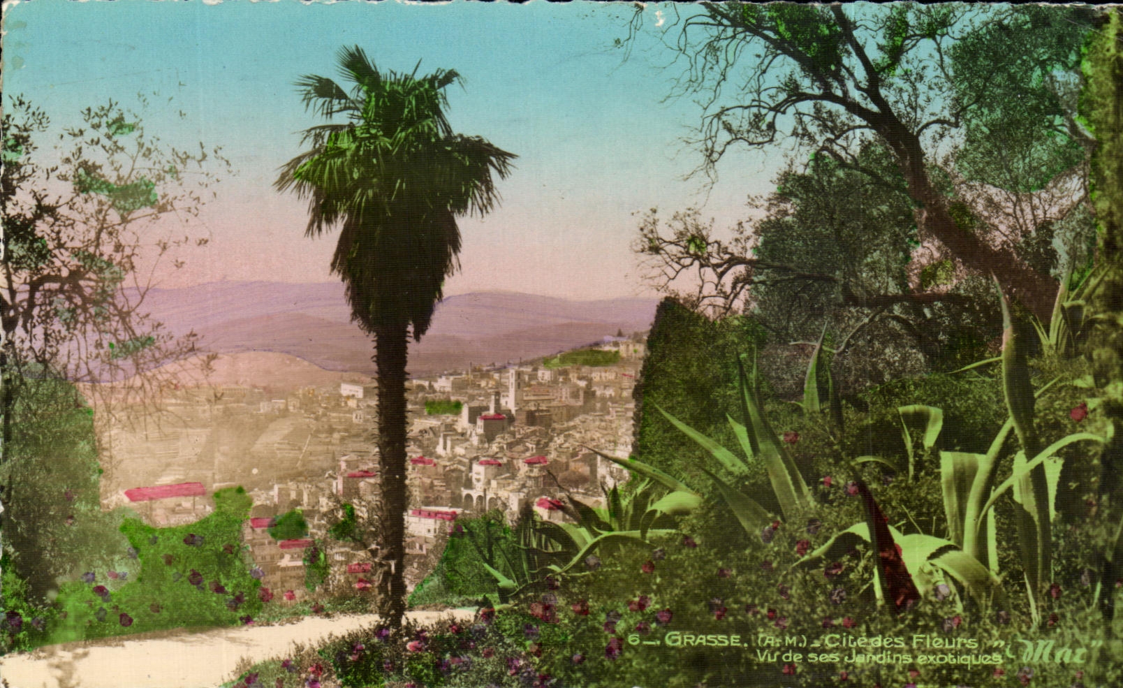 Grasse (Alpes-Maritimes) — Vue de ses Jardins exotiques — "Max"