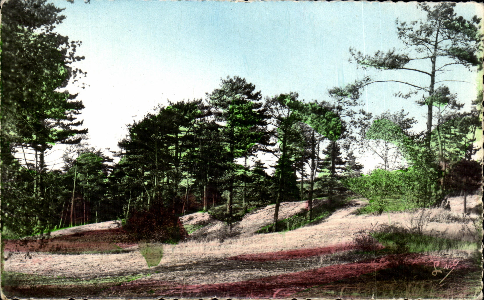 La Côte d'Opale — Le Touquet-Paris-Plage — Dans la forêt — Éditions D'ART, Montreuil-sur-Mer