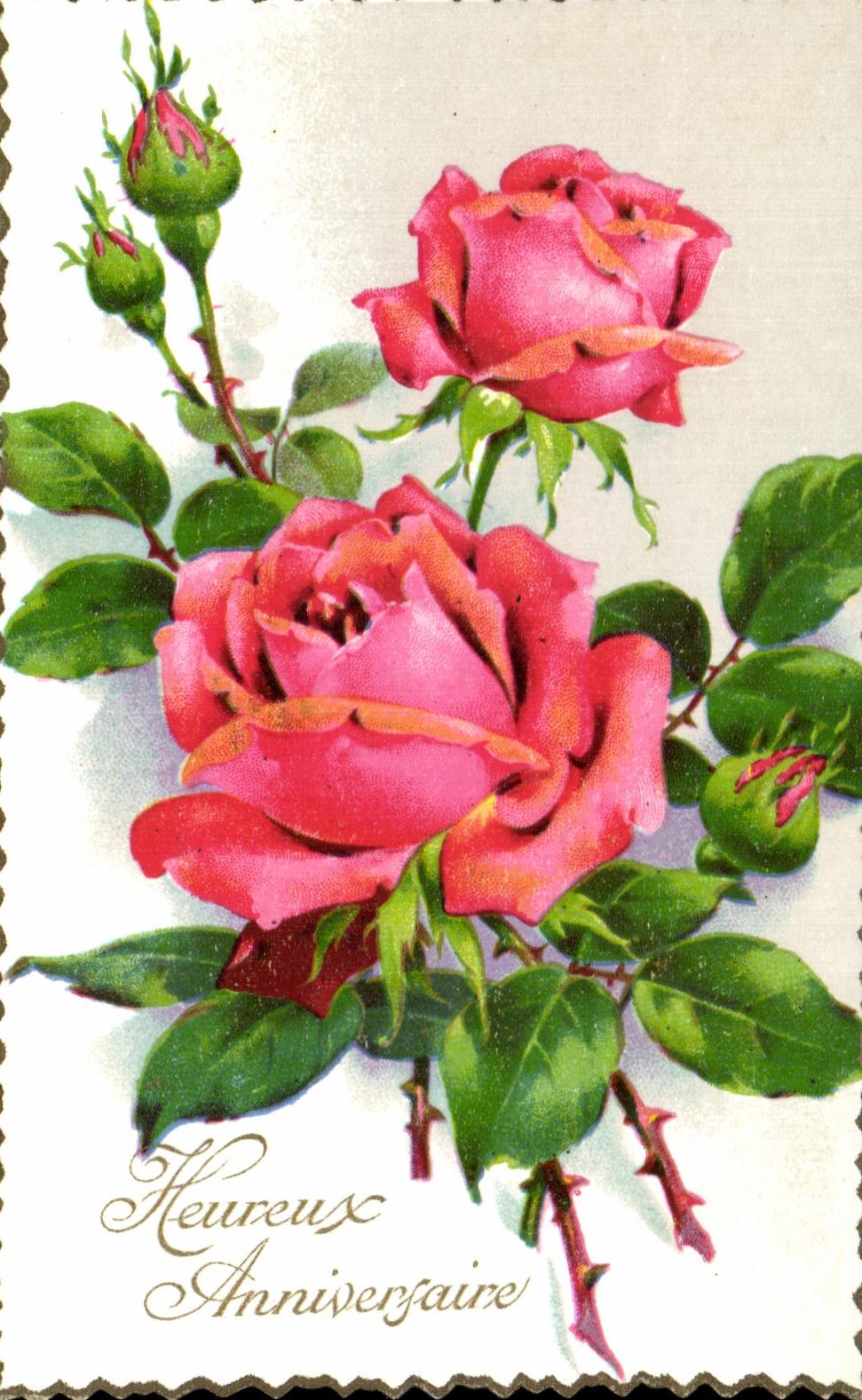 CPA Heureux Anniversaire Fleurs Roses