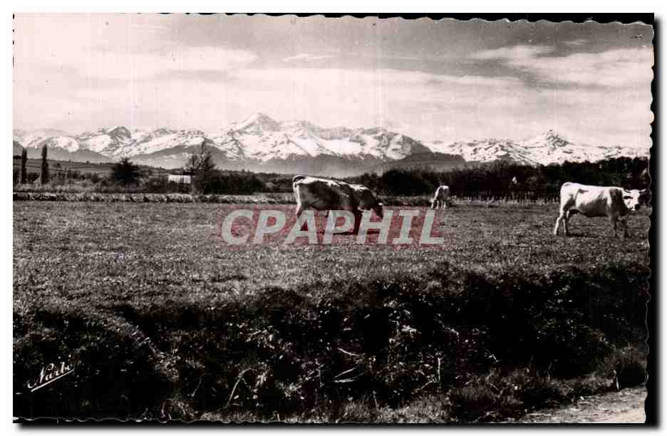 Pâturages aux pieds des Pyrénées — Édition NARBO — Toulouse