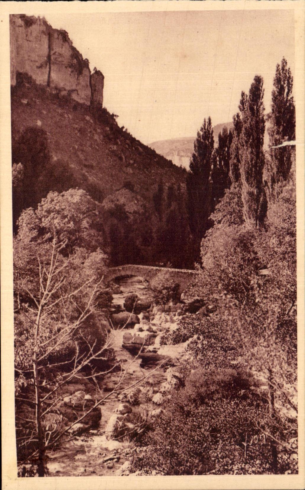 CPA La Douce France Gorges du Tarn La Canon De La Jonte