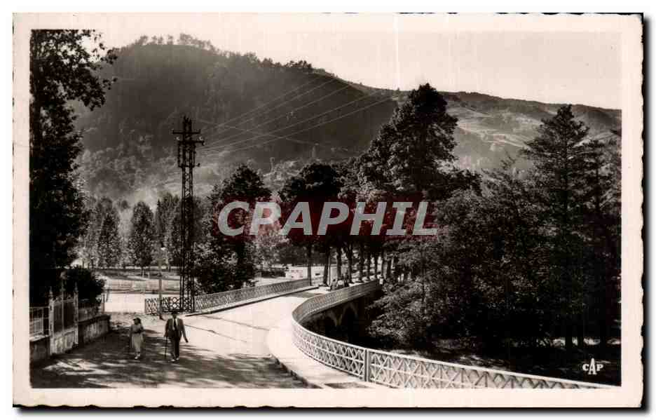 CPA Vic sur Cere Le Pont et le Parc