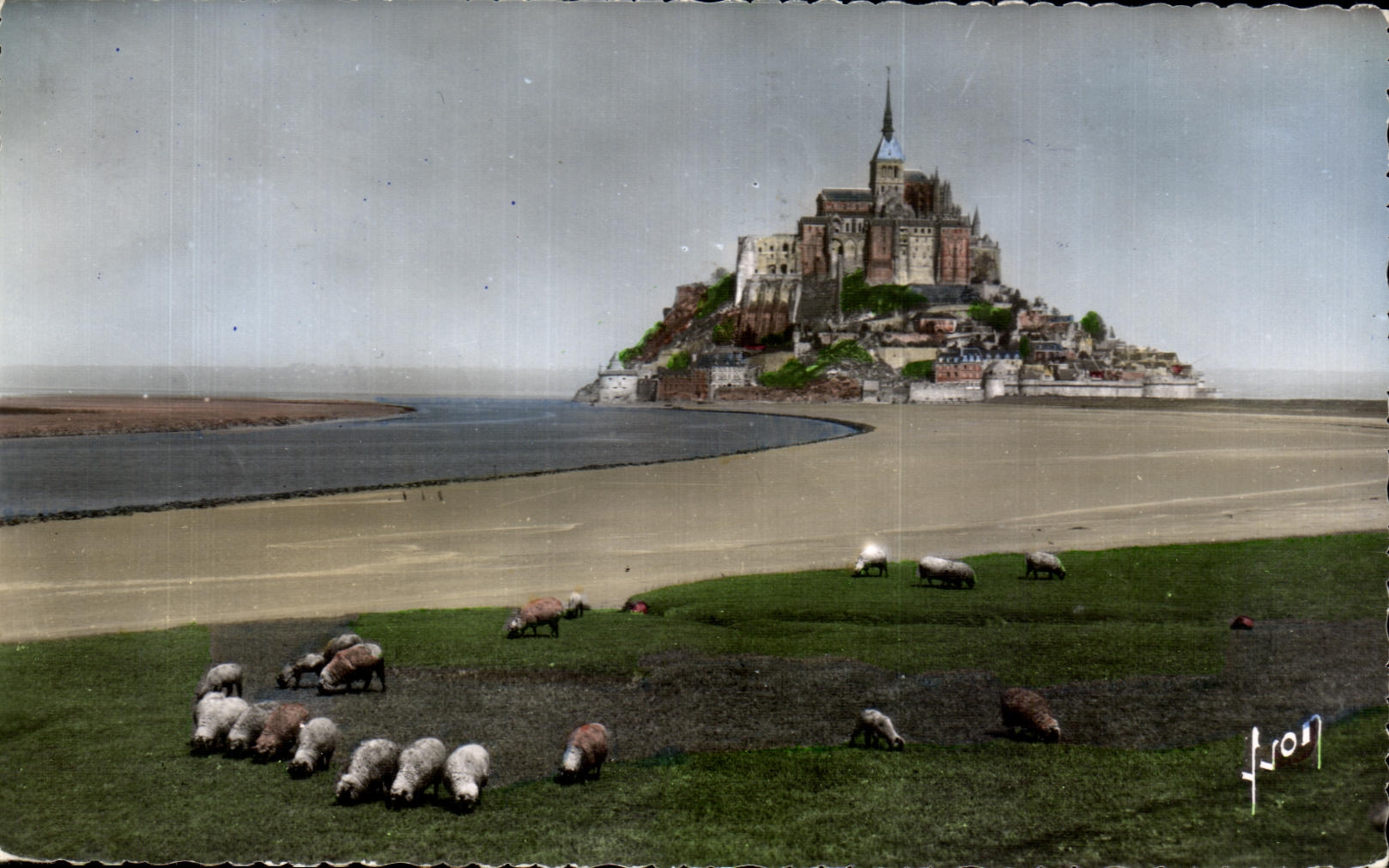 CPSM Mont Saint Michel Vue generale et le Couesnon Moutons
