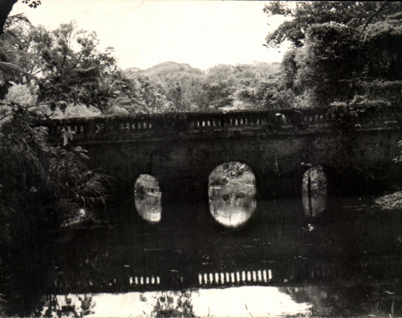 Pont à trois arches — paysage tropical — CPAPHIL