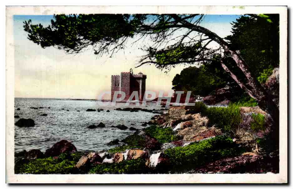 CPA Ile St Honorat Ancien Monastere a Travers les Pins