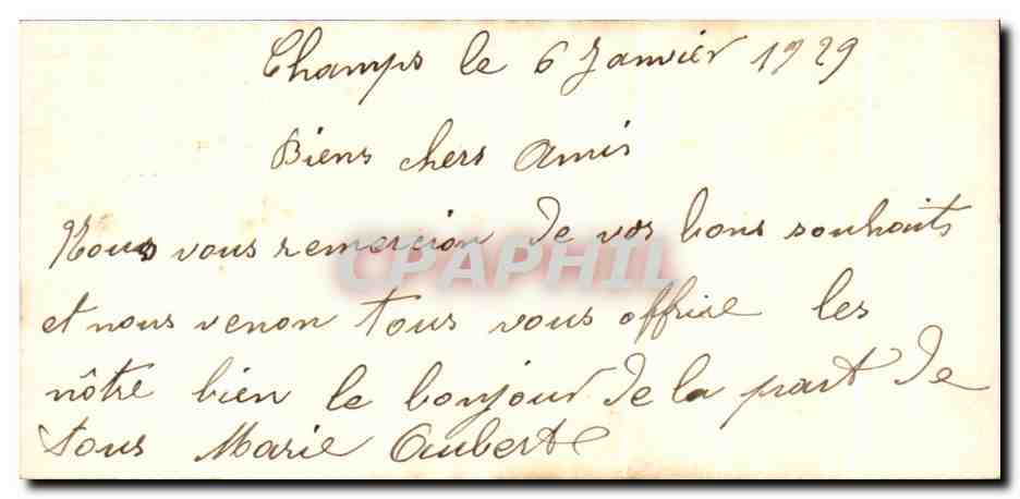 CPA Fantaisie Fleurs Bonne Annee — Rückseite