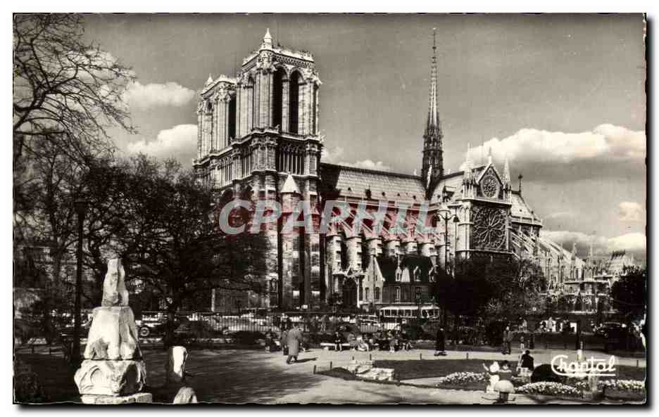 CPA Paris Notre Dame et Square Viviani