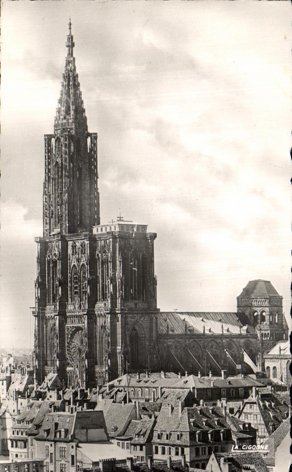 CPA Strasbourg La Cathedrale