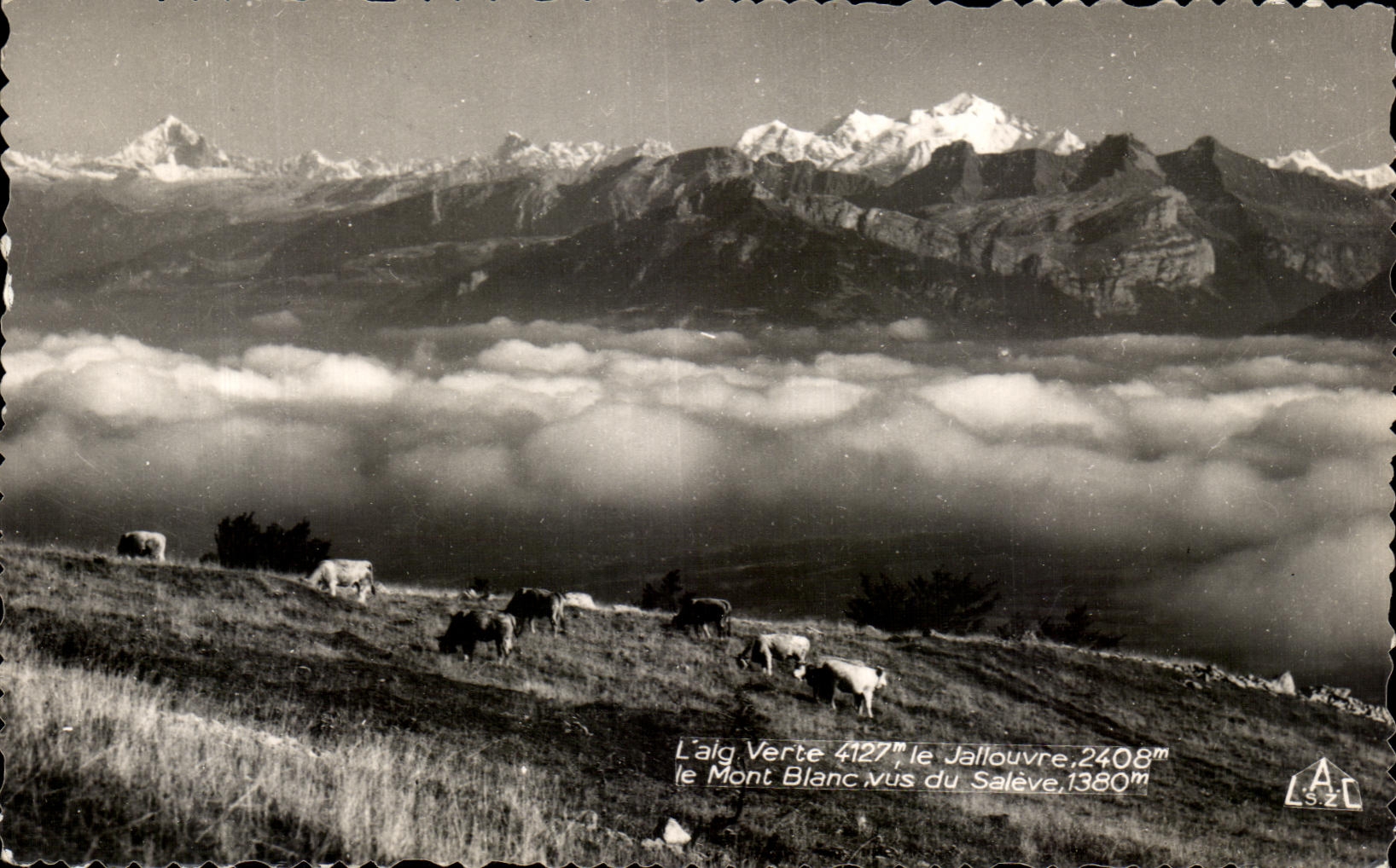 CPA L'alg Verte Jallouvre Le Mont Blanc Vus du Saleve