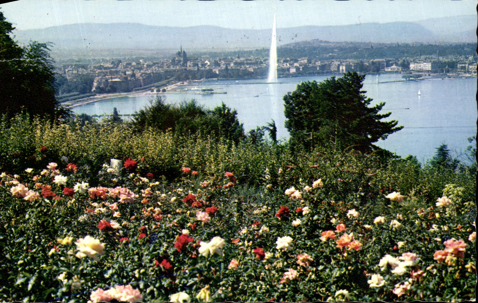 CPA Geneve Le Lac Le Jet d'Eau et la Ville Depuis le Coteau de Cologny