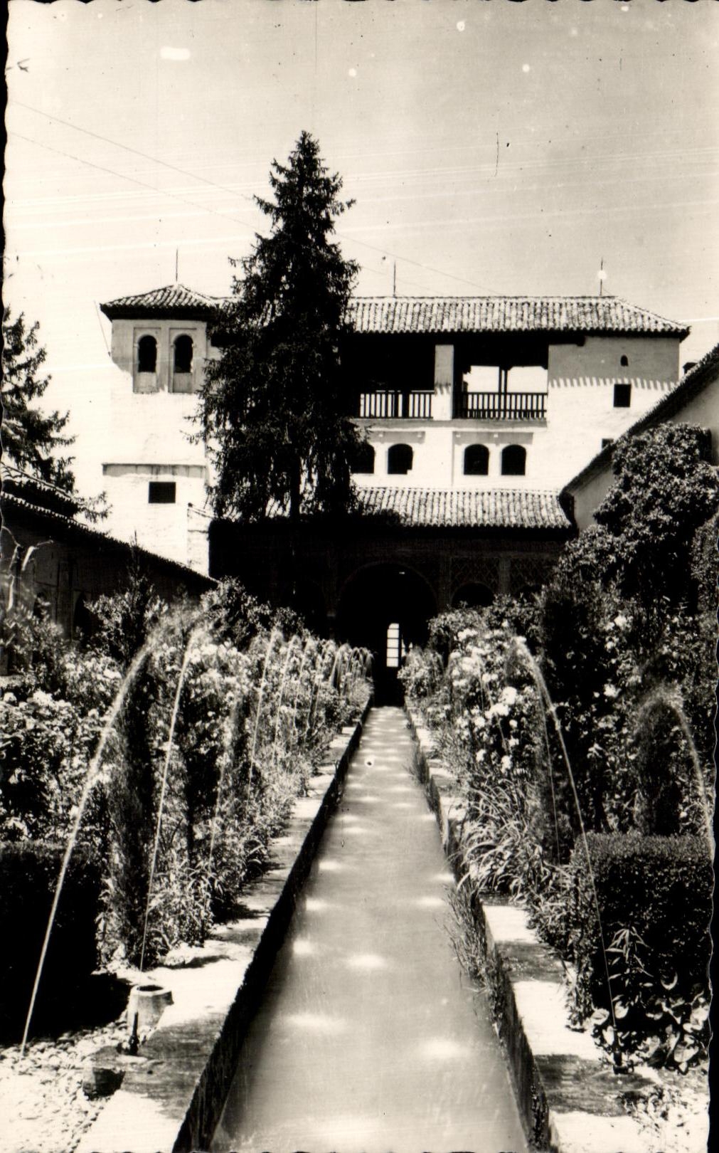 CPA Granada Generalife Jardines