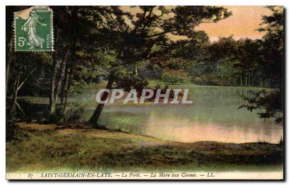 Saint-Germain-en-Laye — La Forêt — La Mare aux Cannes — LL. — N°87