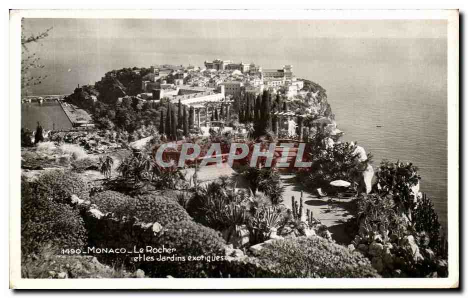 CPSM Monaco Le Rocher et les Jardins exotiques