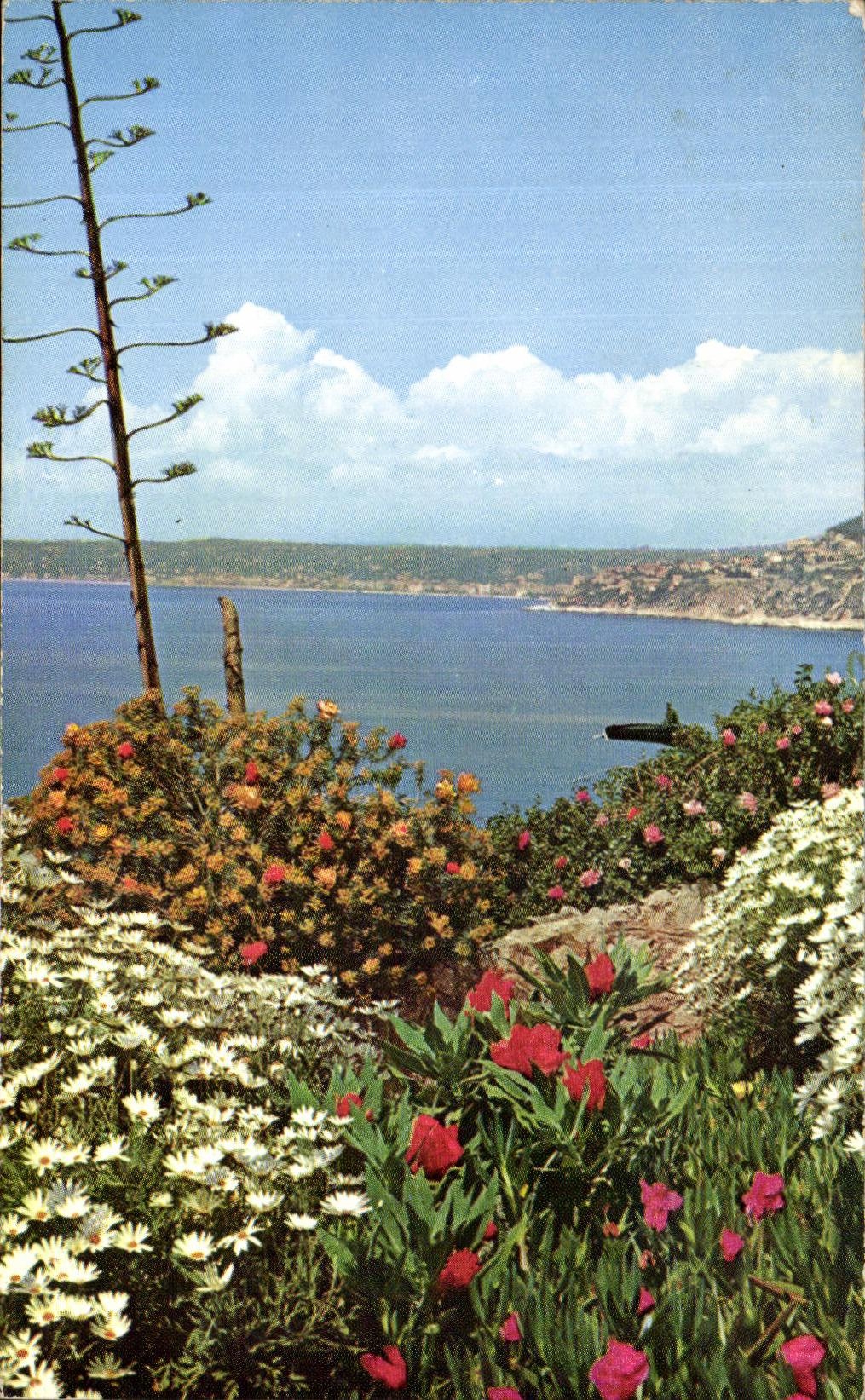 CPSM Cote D'Azur Jardin fleuri Echappee sur la mer Dans le fond La baie des anges a Nice 