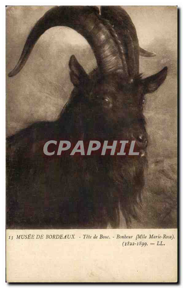 CPA Musee De Bordeaux Tete de Bouc Bonheur Mlle marie Rosa Chevre 