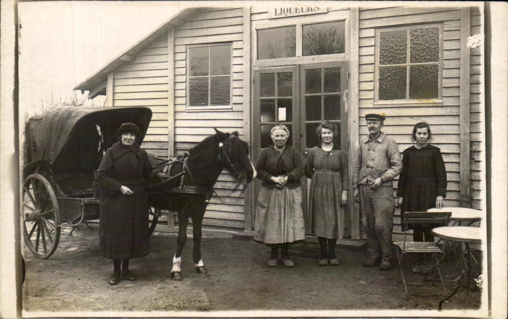 CARTE PHOTO Attelage Cheval Paysans Folklore 