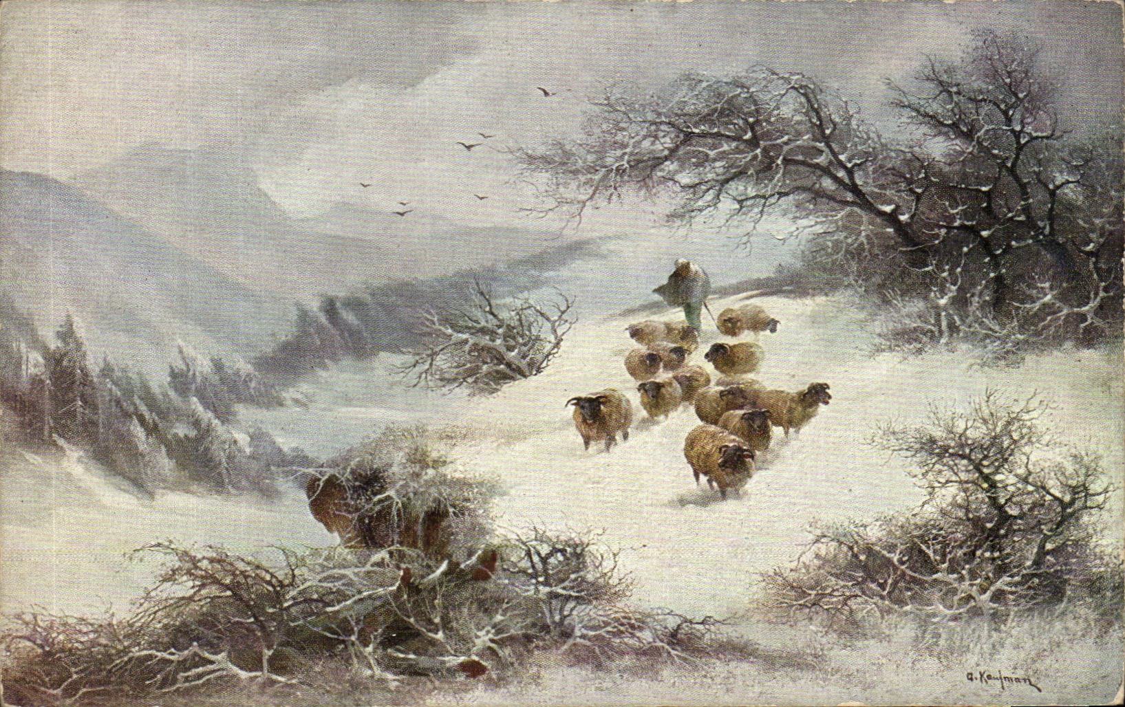 CPA Moutons 