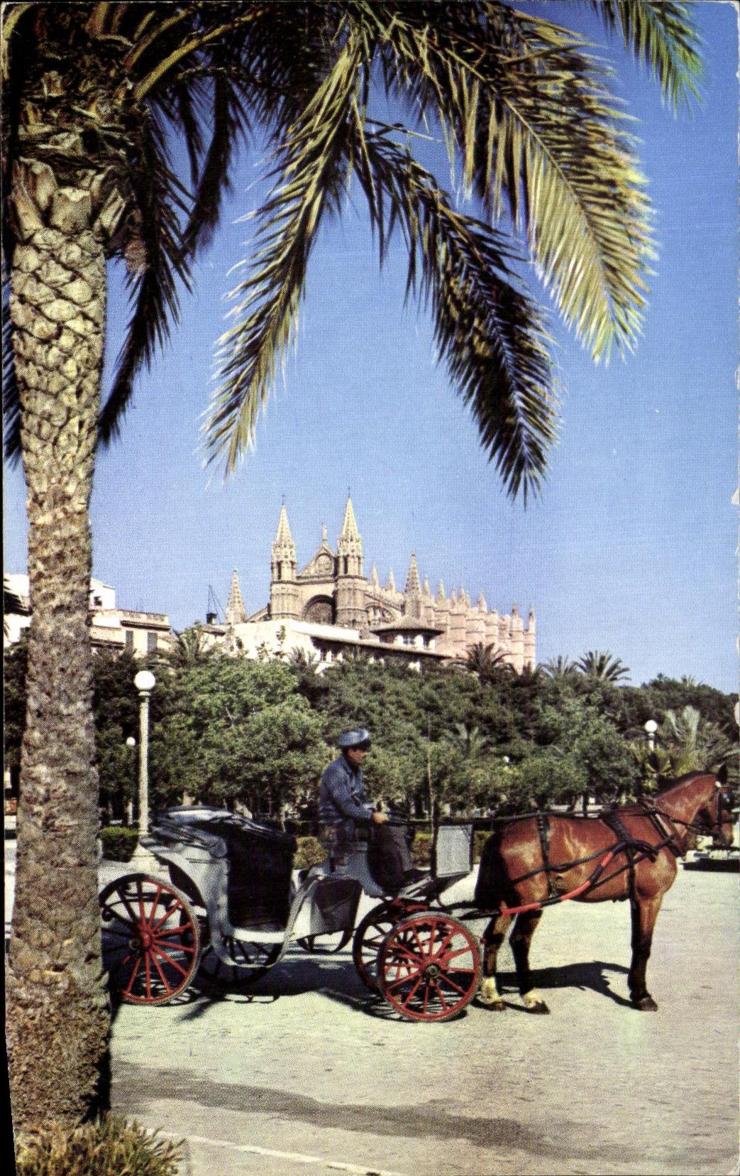 CPA A Mallorca Espana Palma La Catedral desde et desemburcadero