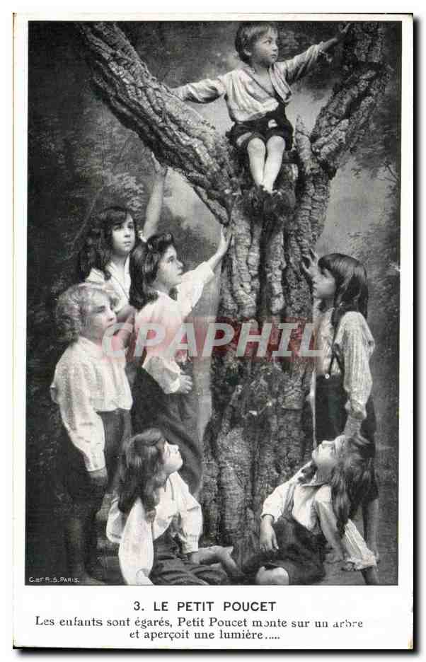 CPA Le Petit Poucet Les enfants sont egares Petit Poucet monte sur un arbre et apercoit une lumiere