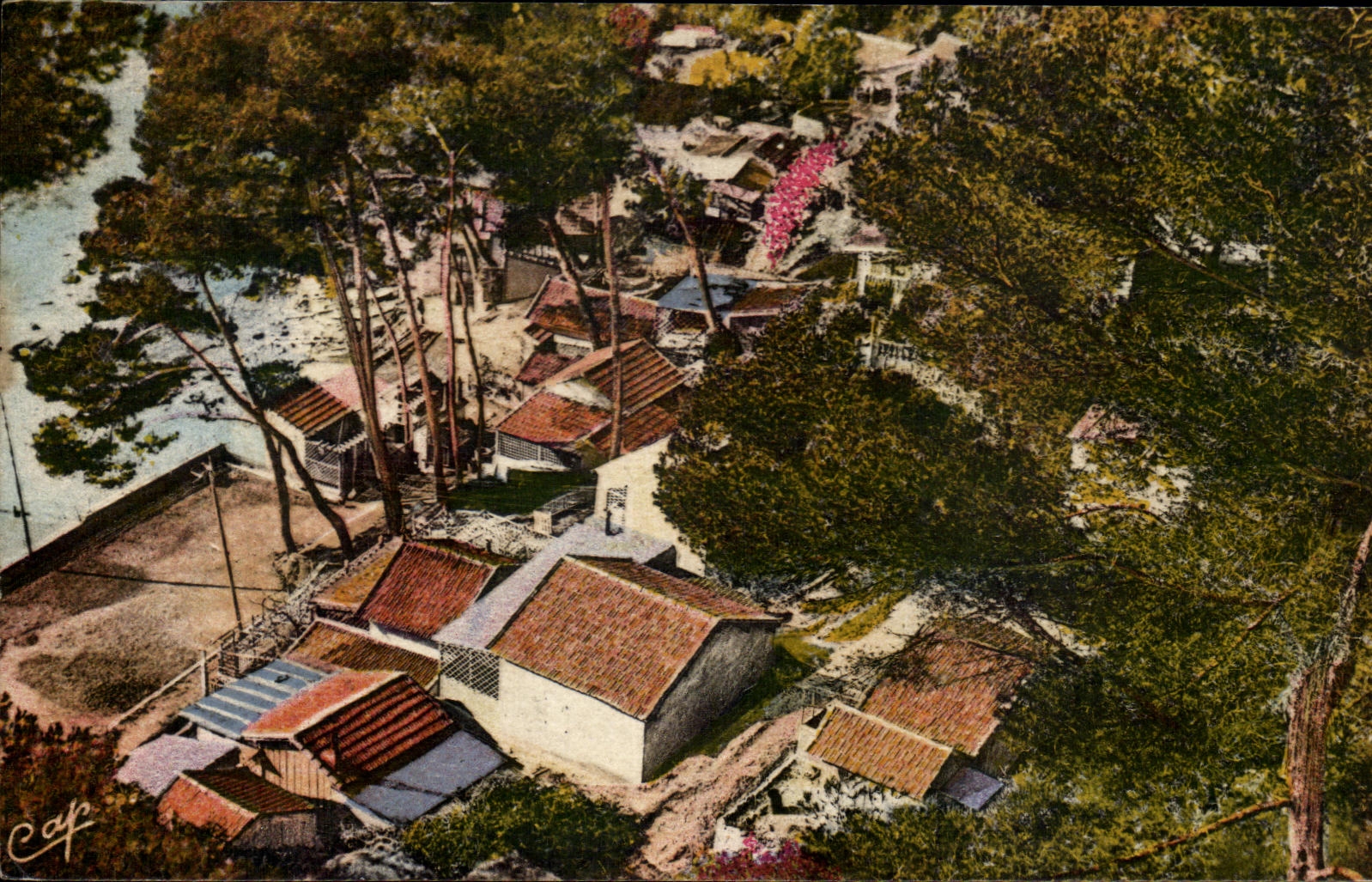 CPA Le Pradet Les Chalets de Pin De Galies