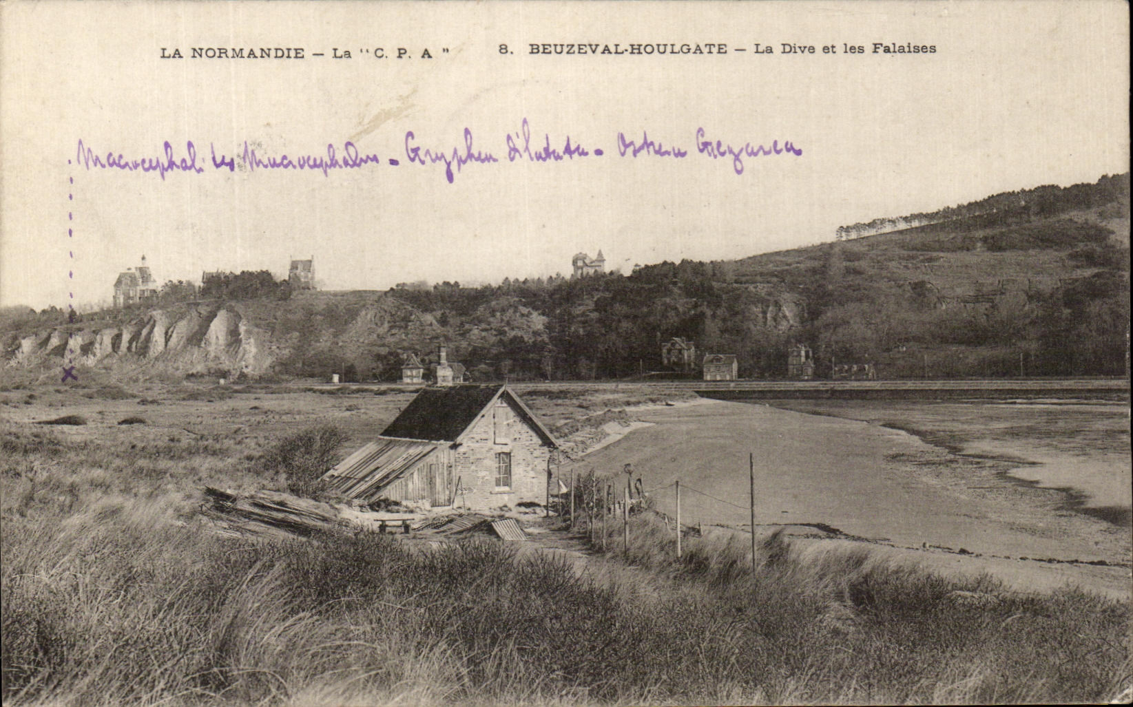 Beuzeval-Houlgate — La Dive et les Falaises — La C.P.A. n°8
