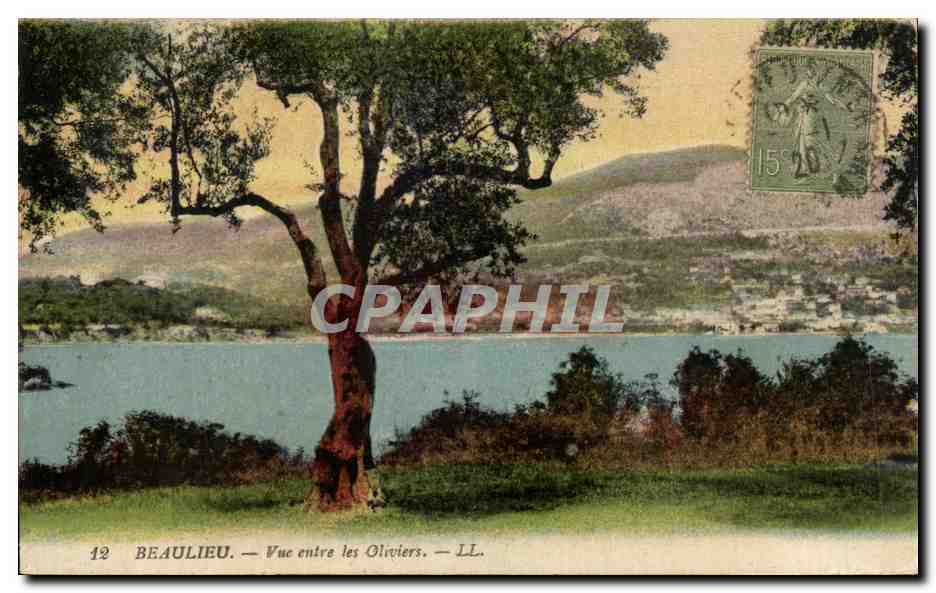 CPA Beaulieu Vue Entre Les Oliviers