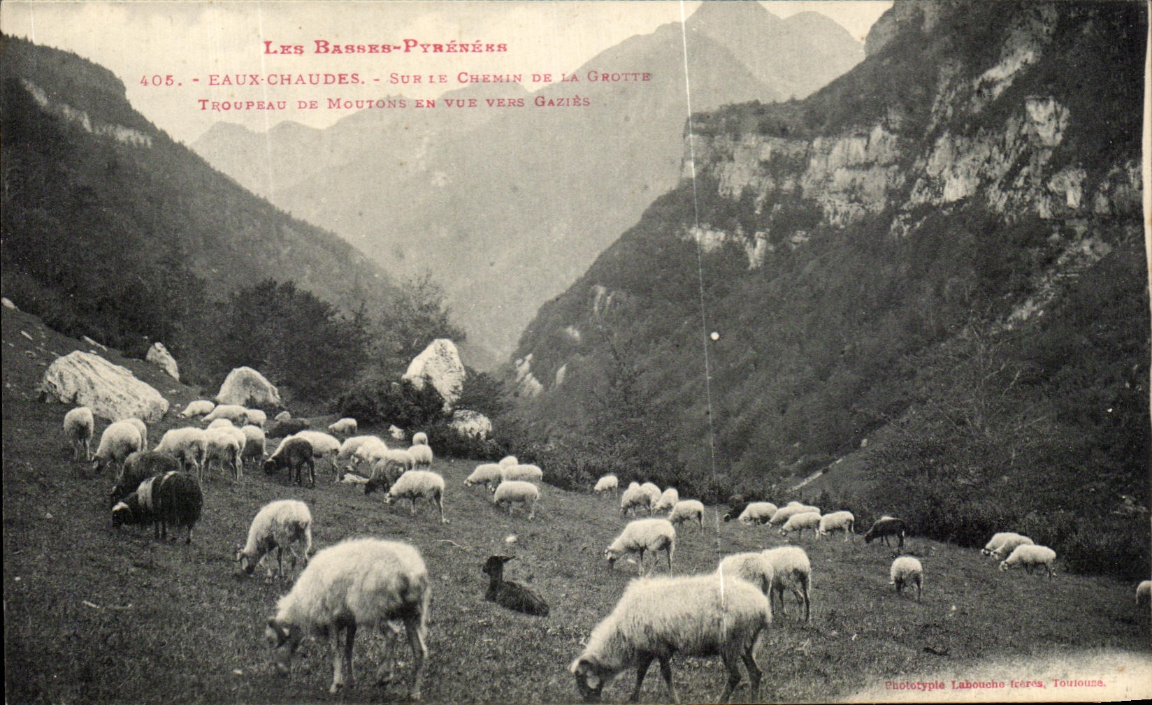 Les Basses-Pyrénées — Eaux-Chaudes, troupeau de moutons en vue vers Gazières — Phototypie Labouche Icerva, Toulouse
