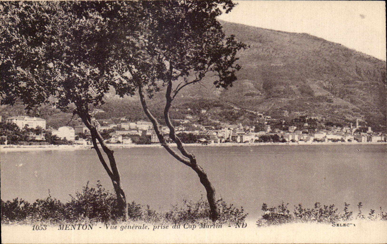 CPA Menton Vue Generale Prise du Cap Martin