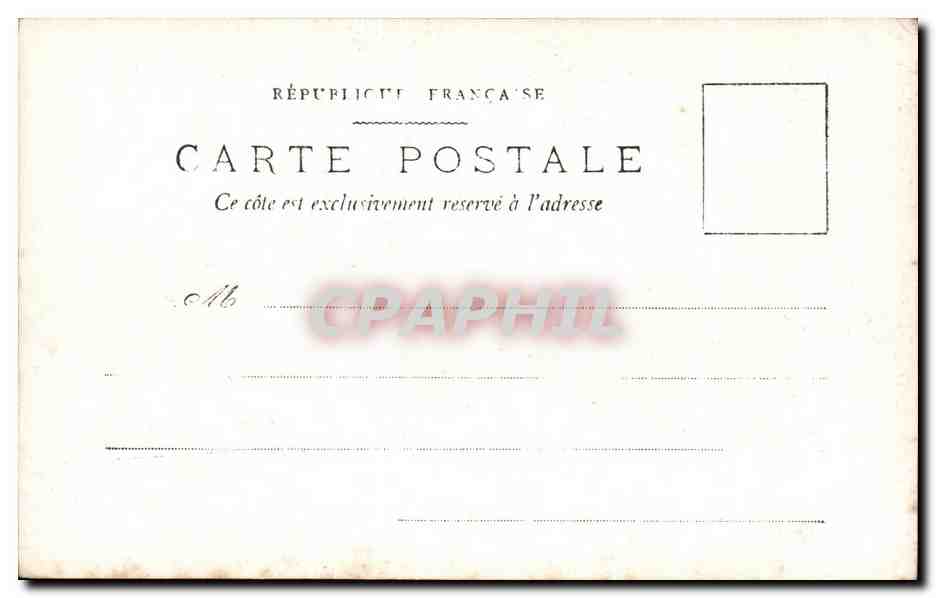 CARTE PHOTO Foret sous la neige  — Verso