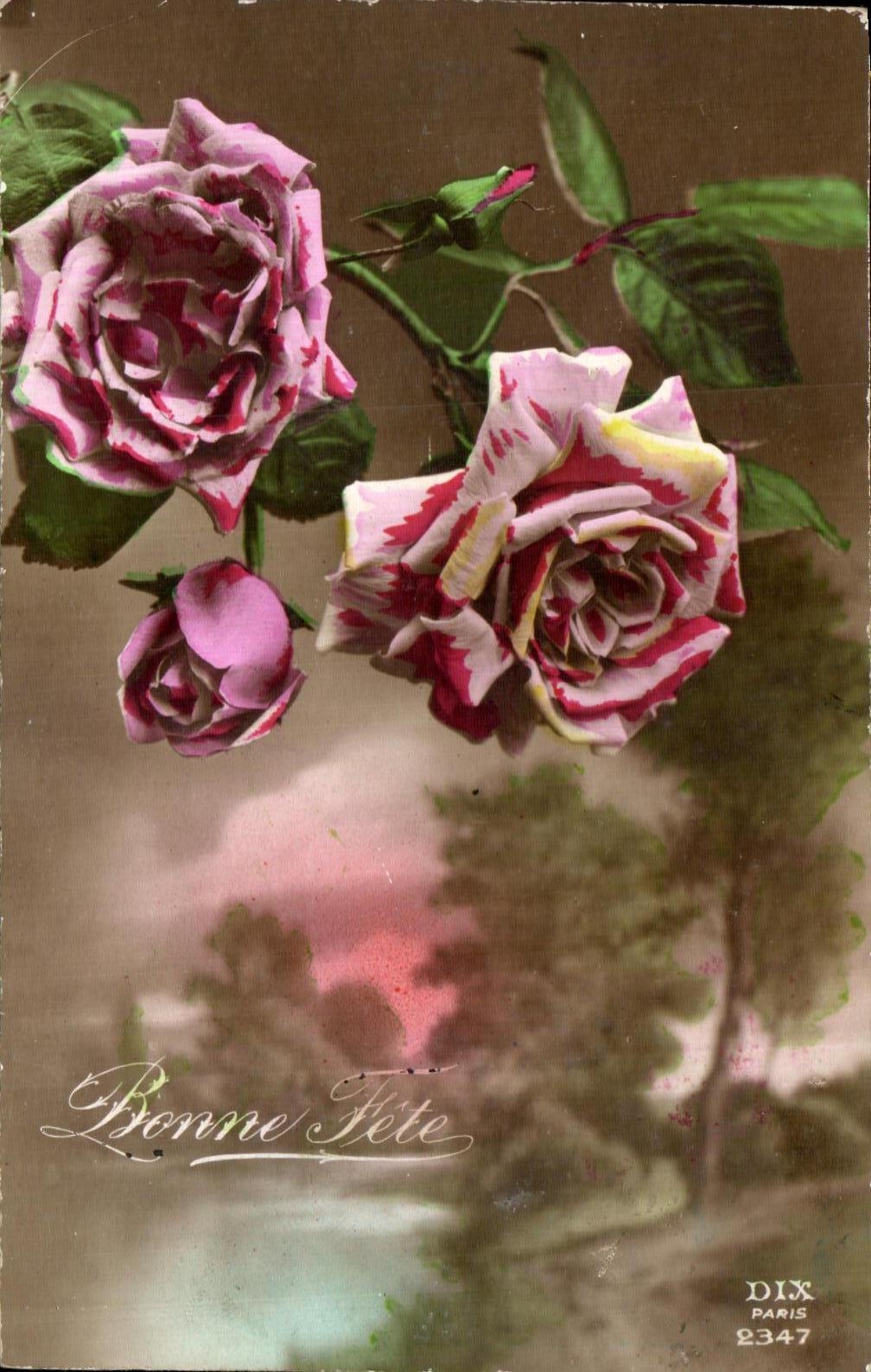 CPA Fantaisie Fleurs Roses