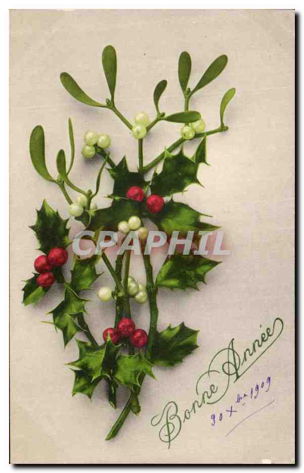 CPA Fantaisie Fleurs