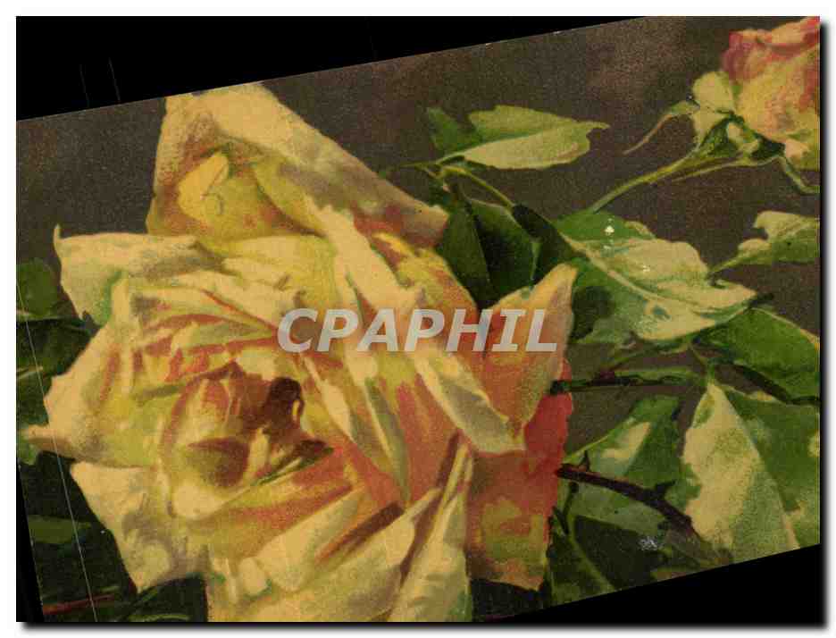 CPA Fantaisie Fleur Rose jaune