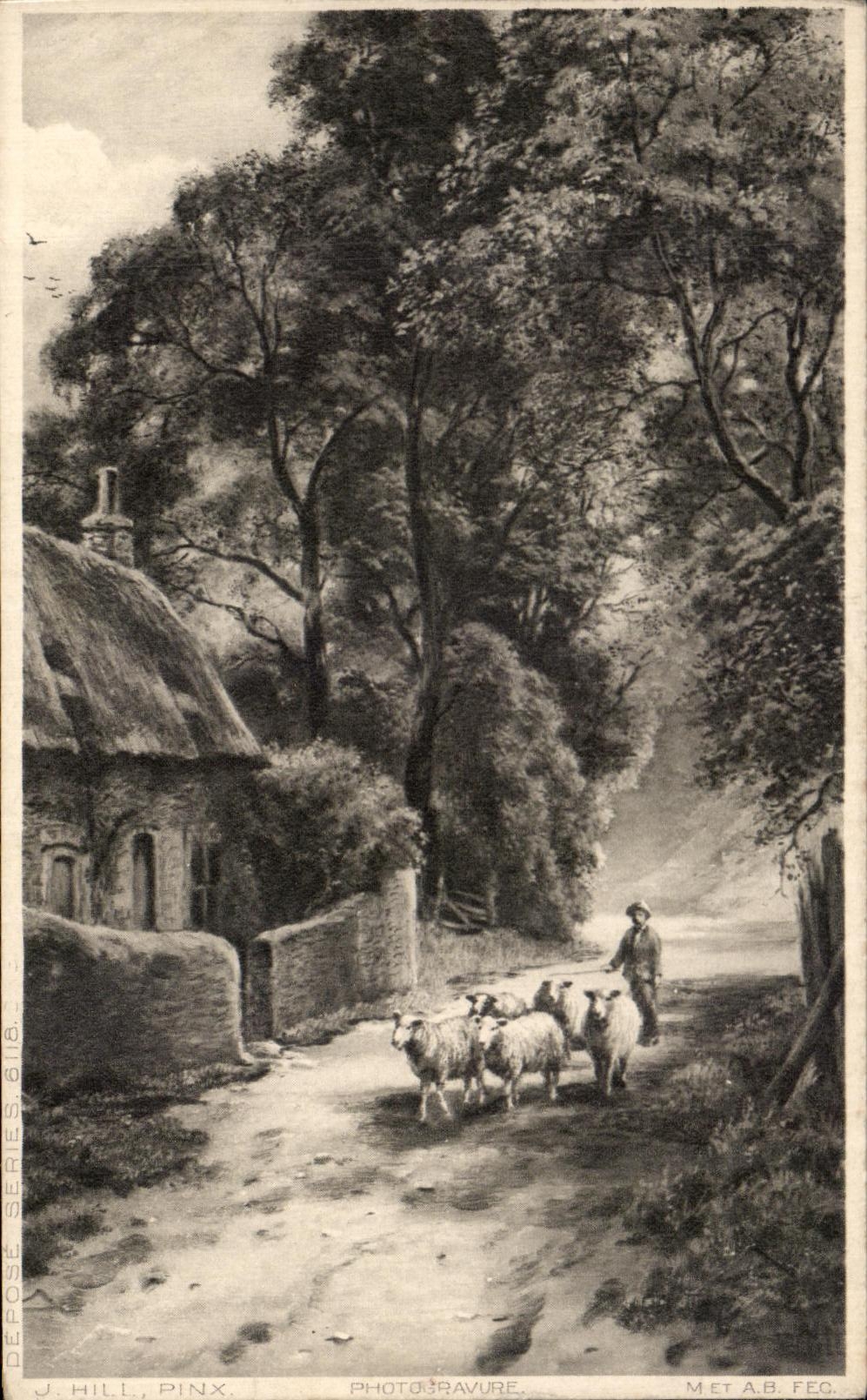 CPA Hill Moutons