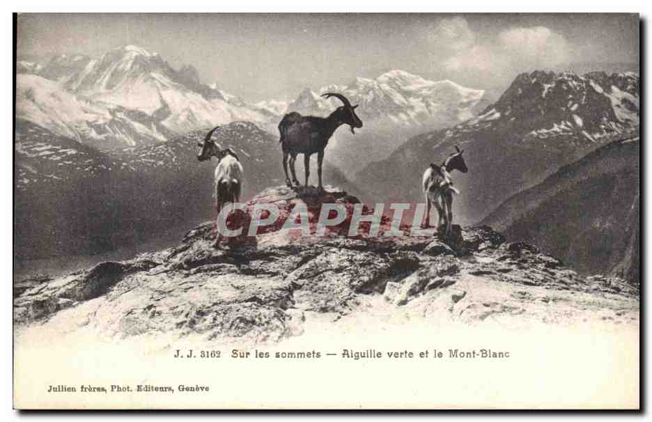 Sur les sommets — Aiguille verte et le Mont-Blanc — Jullien frères, Phot. Editeurs, Genève, n° J.J. 3162