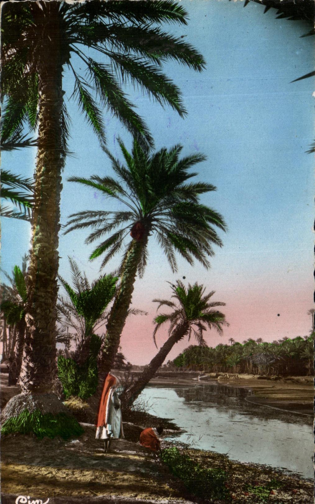 CPA L'Afrique Du Nord La Riviere Algerie