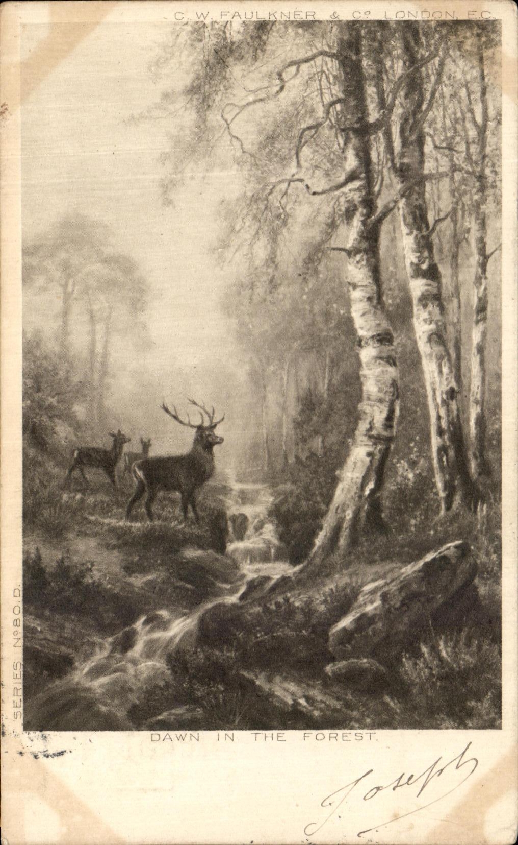 Dawn in the Forest — C.W. Faulkner & Co, London, E.C. — série N°80.C.D.