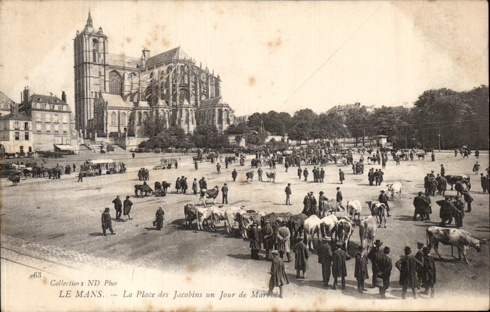 Le Mans — La Place des Jacobins un Jour de Marché — Collections ND Phot