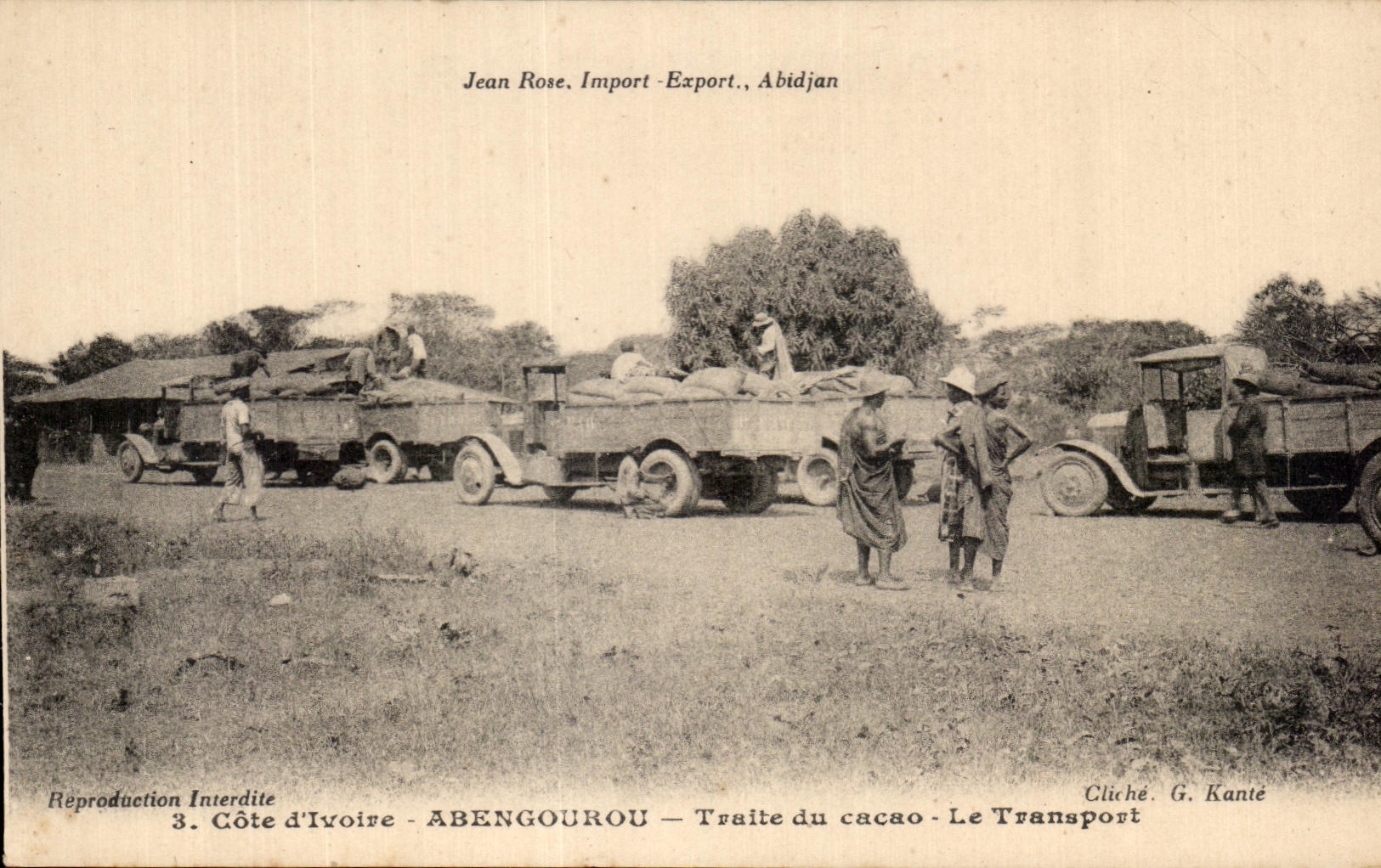 CPA Cote d'Ivoire Abengourou Traite Du Cacao Le Transport