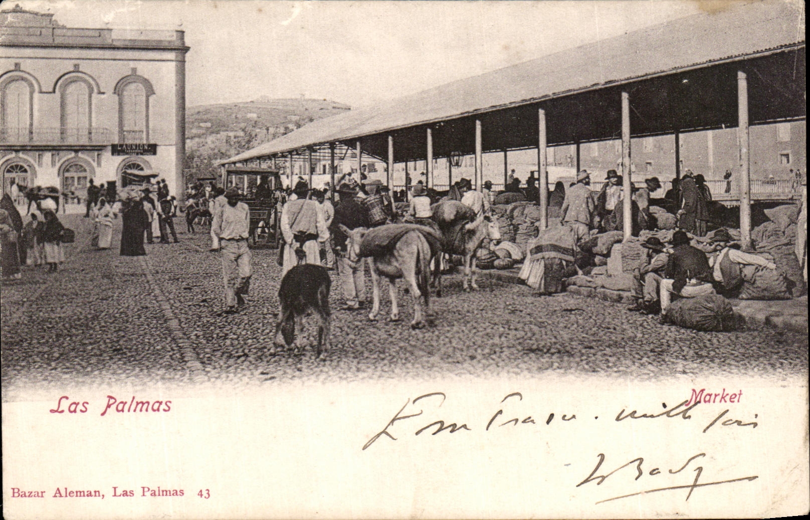 CPA Las Palmas Market Anes