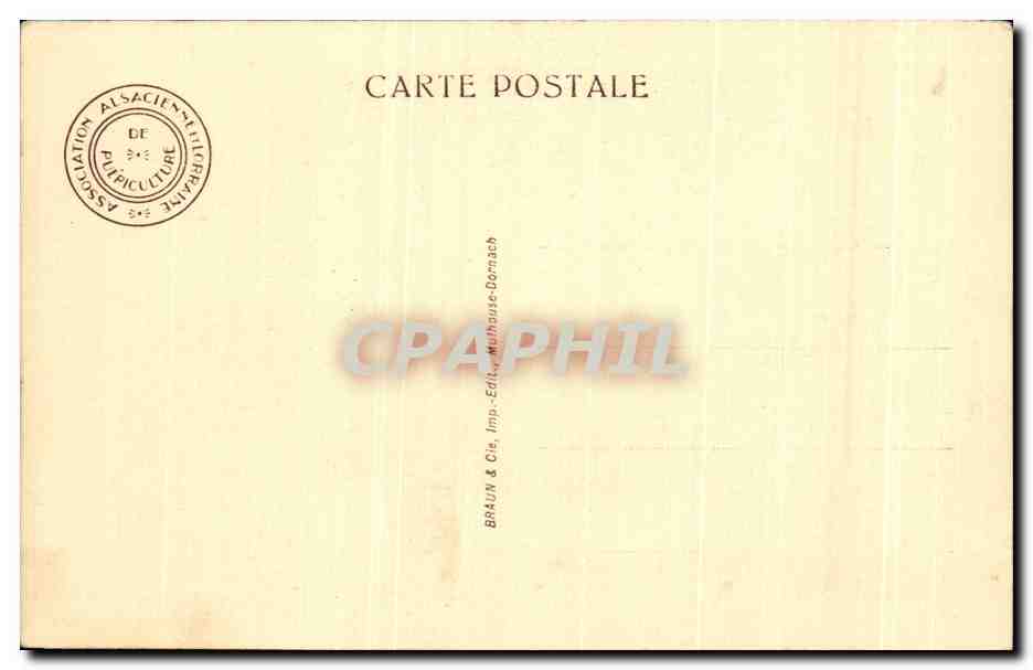 CPA Fantaisie Enfants et chien  — Rückseite