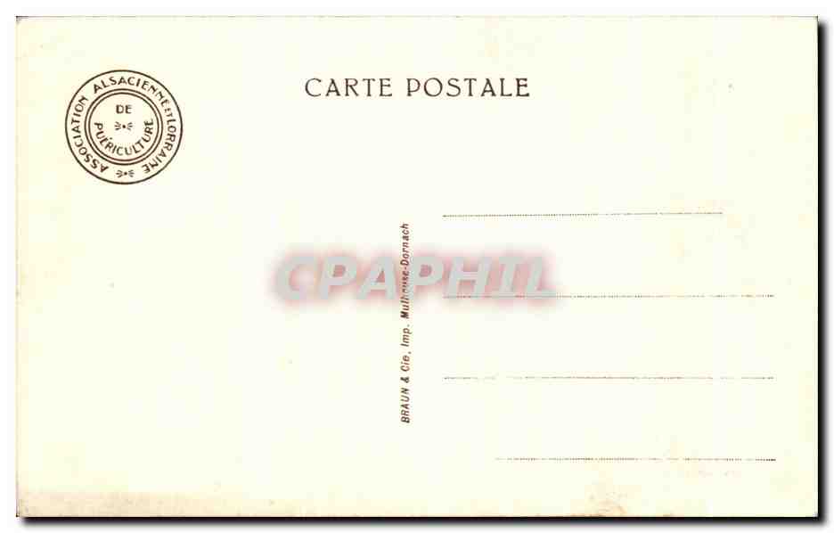 CPA Fantaisie Enfants et chat — Rückseite