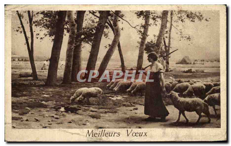 CPA Fantaisie Femme Bergere et ses moutons