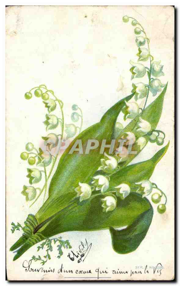 CPA Fantaisie Fleurs Muguet 