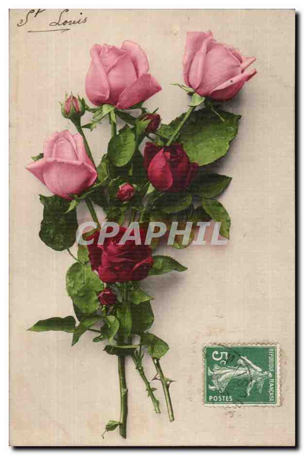 CPA Fantaisie Fleurs Roses 