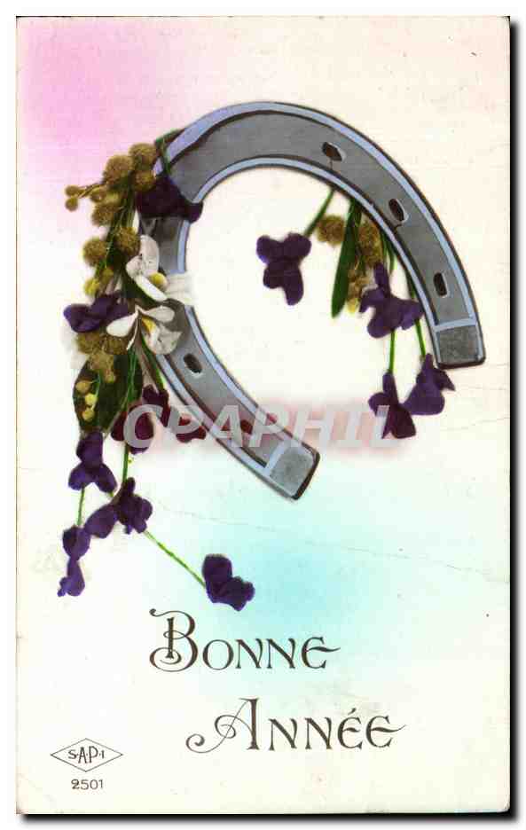 CPA Fantaisie Fer a cheval Bonne annee