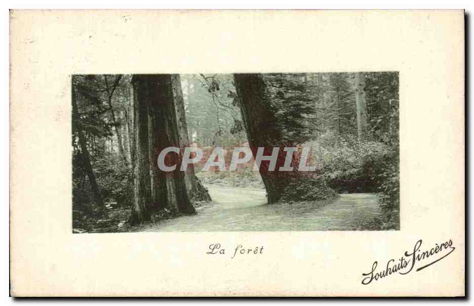 CPA Fantaisie La foret