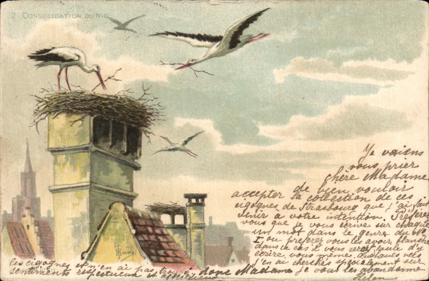 CPA Fantaisie Cygognes Oiseaux 
