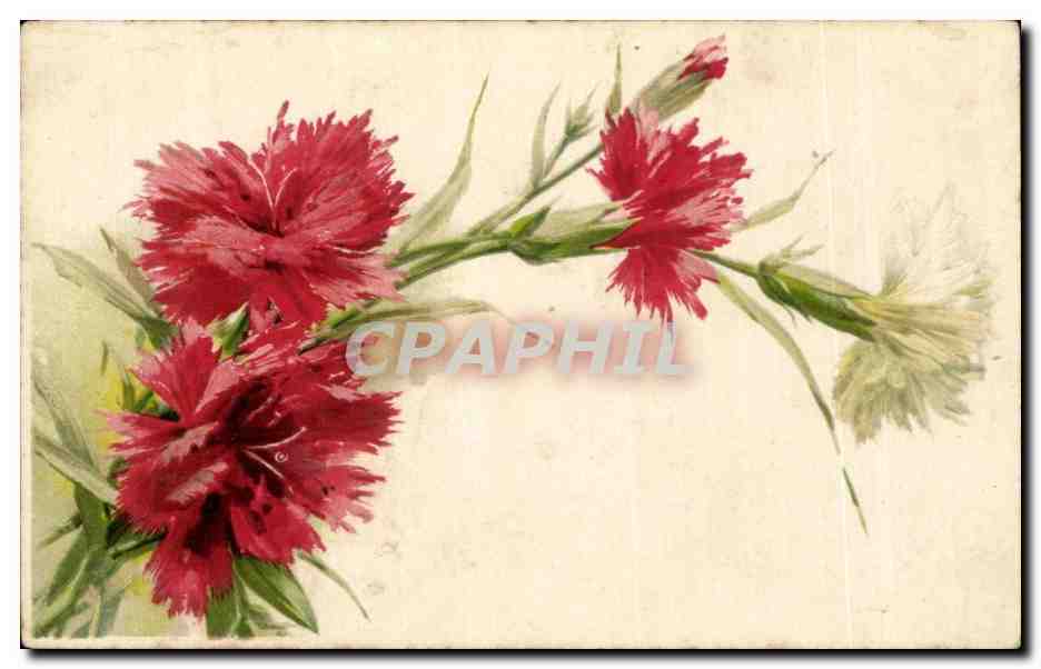 CPA Fantaisie Fleurs 